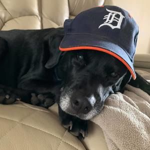 Meet your Posher, Cari